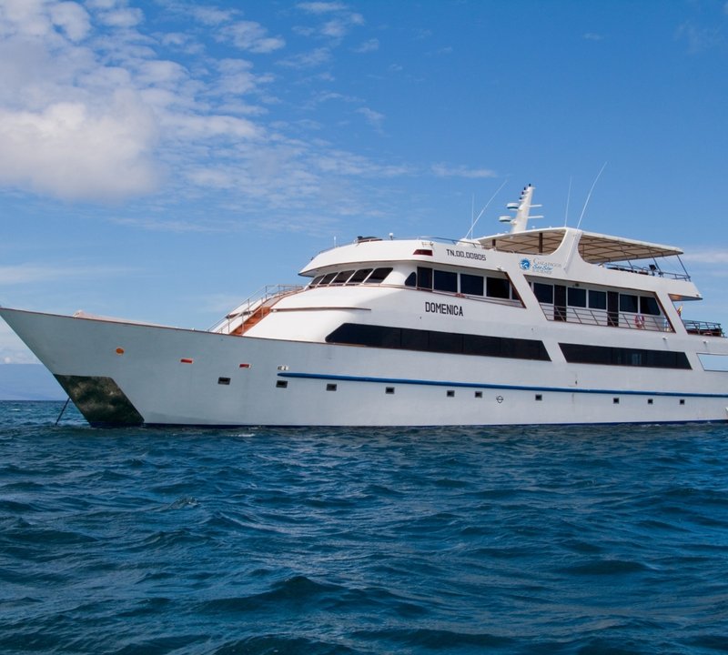 Motor Yacht TOUCH 60 project designed by Newcruise in Hamburg — Yacht